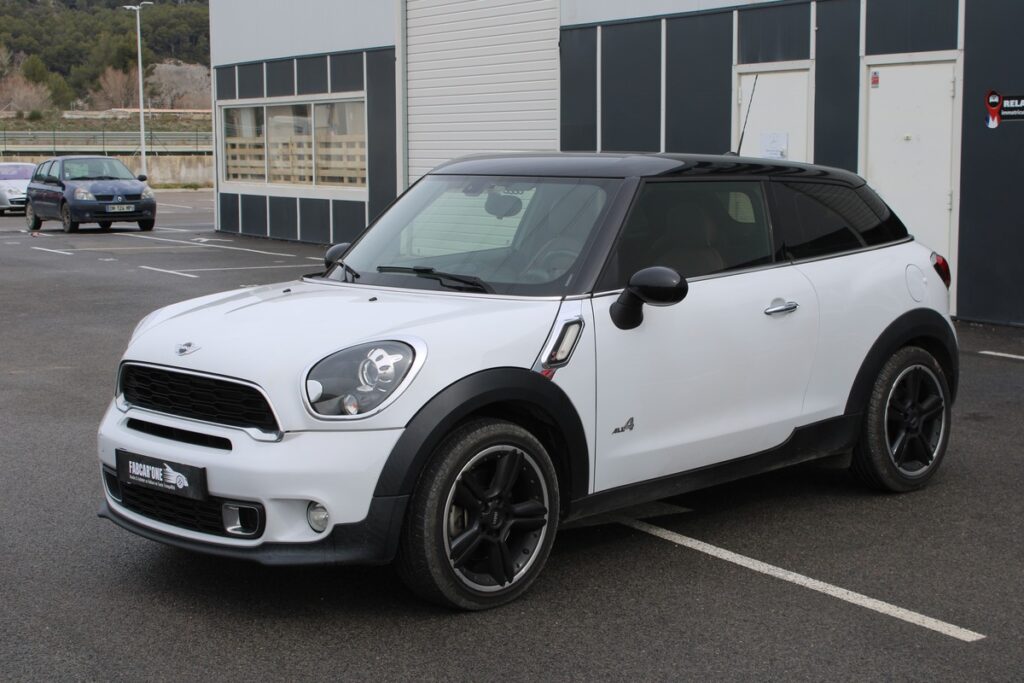 Mini Paceman